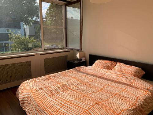 尼沃海恩Cozy Dutchie House Near Utrecht的一间卧室设有一张床和两个窗户。
