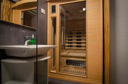 博德森特克Apartments with SAUNAS - Gobi的浴室配有盥洗盆和步入式淋浴间。