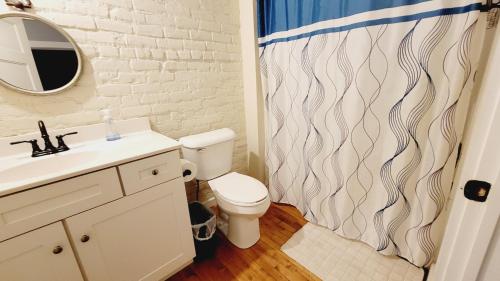 林奇堡Family-Friendly 3 bedroom in Historic building!的一间带卫生间和淋浴帘的浴室