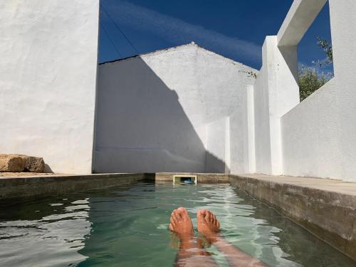 马尔旺Azeite de Marvão, Olivoturismo casa Venda do Lagar的在水中游泳的人