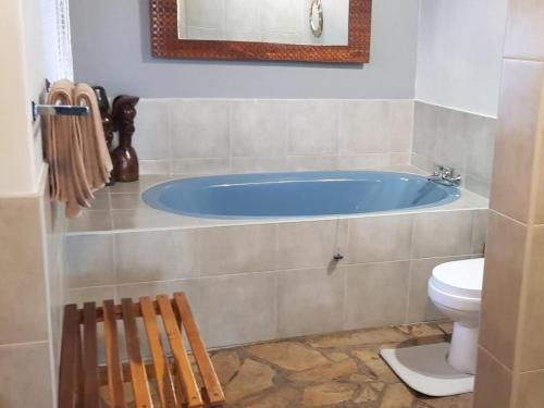 卡蒂马穆利洛Caprivi River Lodge的一间带蓝色浴缸和卫生间的浴室
