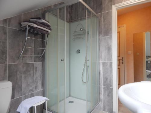 奥若克斯金狮酒店的带淋浴、卫生间和盥洗盆的浴室