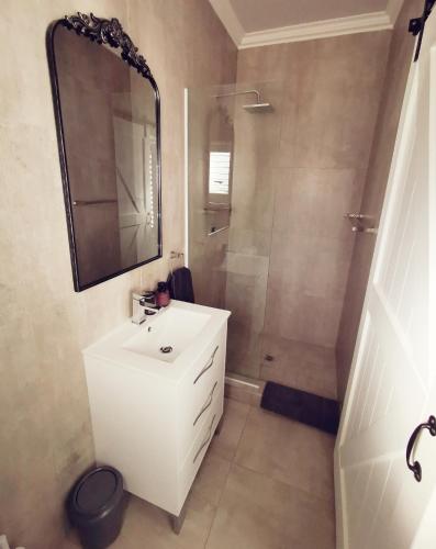 布隆方丹10 Jock Meiring Guesthouse Unit 2的浴室配有白色水槽和淋浴。
