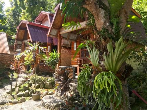 武吉拉旺Lucky Bamboo' Bungalows-Resto and OrangUtan Jungle Trekking Tours的植物屋前的花园