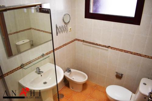 拉奥利瓦Anahi Home Corralejo - Villa Cardon 12的一间带卫生间和水槽的浴室