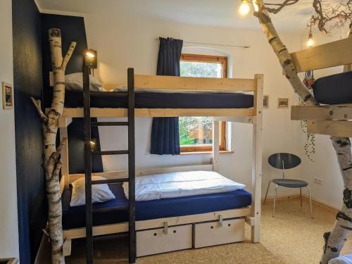 拉特诺Hinterland Hostel的一间带两张双层床的卧室和一棵树
