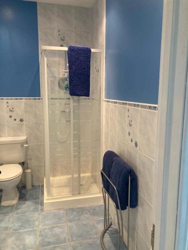 基利贝格斯Millfarm House的带淋浴和卫生间的浴室