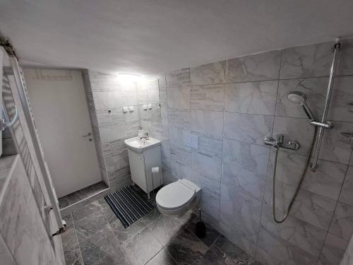 瓦拉日丁Apartman Megolina的带淋浴和卫生间的浴室。