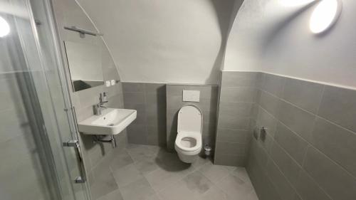 捷克克鲁姆洛夫Pension Pod Radnicí的一间带卫生间和水槽的浴室
