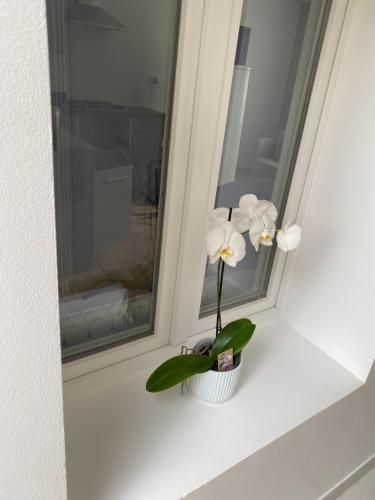Maison calme et confortable的窗台上花瓶上的白花
