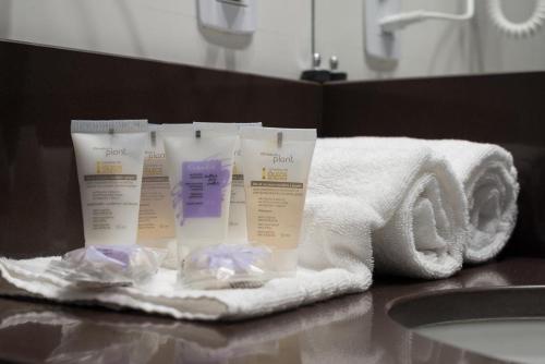格拉玛多Hotel Laghetto Stilo Borges的浴室的台面上堆着毛巾