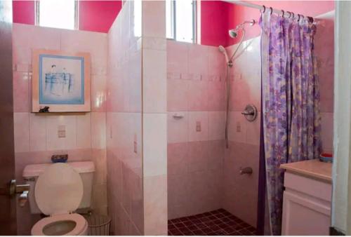 格兰德海滩Altare - Breezy with a View的粉红色的浴室设有卫生间和淋浴。