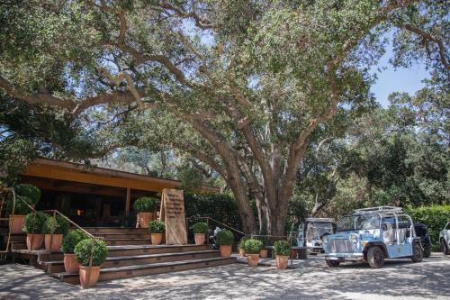 马里布卡拉明哥游客牧场和海滩俱乐部度假村的停在树前的一辆旧货车