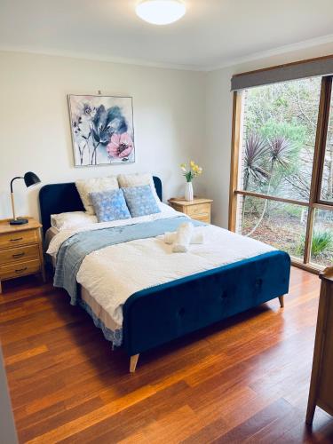 弗兰克斯顿Gorgeous house near beach with nature view的一间卧室配有一张蓝色的床,上面有泰迪熊