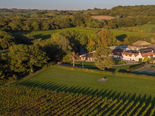 布里斯托Aldwick Estate的享有庄园的空中景致,拥有葡萄园和房屋