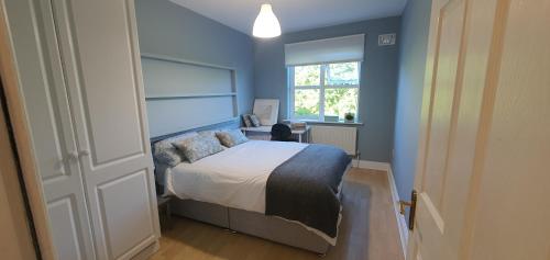 戈尔韦Galway City Lovely 2 Bed Apartment的一间卧室配有一张蓝色墙壁的床