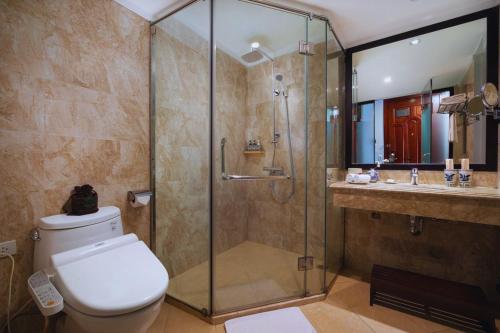 河内Hotel Emerald Waters Classy的带淋浴、卫生间和盥洗盆的浴室
