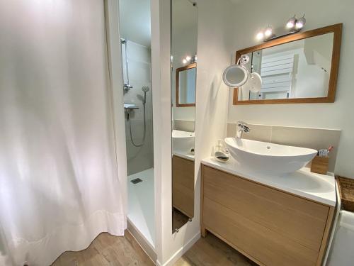 南特L'Ecrin des bords de l'Erdre - Les Maisons de Madeleine的一间带水槽、镜子和淋浴的浴室