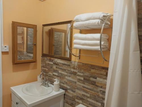 卡斯特里Avocado Suites的浴室配有盥洗盆、镜子和毛巾