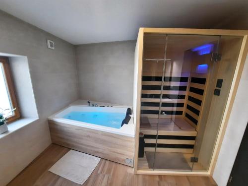 科巴里德Apartments Hlapi with SPA的一间带玻璃门浴缸的浴室
