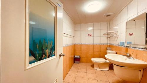 小琉球岛大峰民宿的一间带卫生间和水槽的浴室