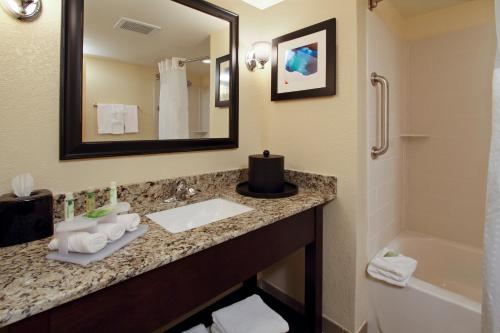奥古斯塔奥古斯塔市中心智选假日酒店的一间带水槽、浴缸和镜子的浴室