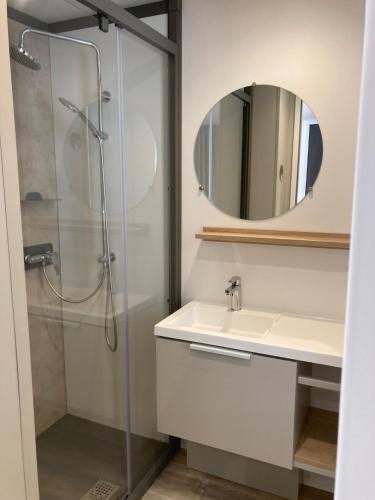 乌尔坦Cottage 2 pers KEY WEST Premium的带淋浴、盥洗盆和镜子的浴室