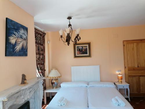 雷塔马尔Casa Cabo de Gata的一间卧室配有一张床和一个壁炉