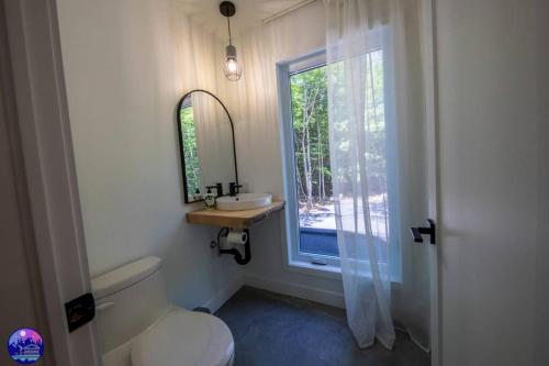 MansonvilleChalet Forestria - SPA- Billard- Ski的一间带卫生间、水槽和窗户的浴室