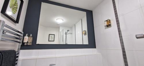 雷丁The Property Parlour的一间带镜子和淋浴的浴室
