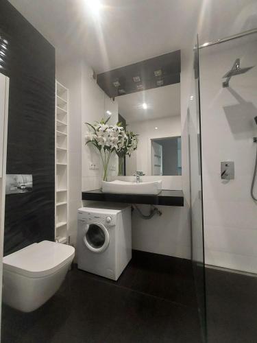 卡托维兹Modern Apartment - Francuska Park的浴室配有卫生间、盥洗盆和洗衣机。