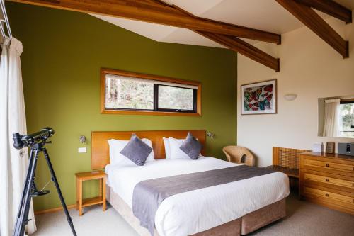 科尔斯湾Freycinet Resort的一间卧室设有一张床和绿色的墙壁