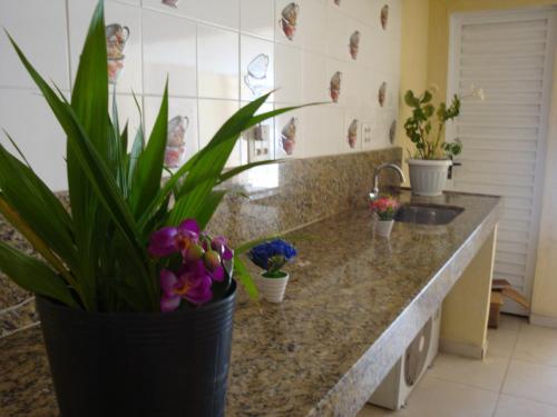 贝伦Hotel Porto da Lua Belém的厨房配有植物和水槽