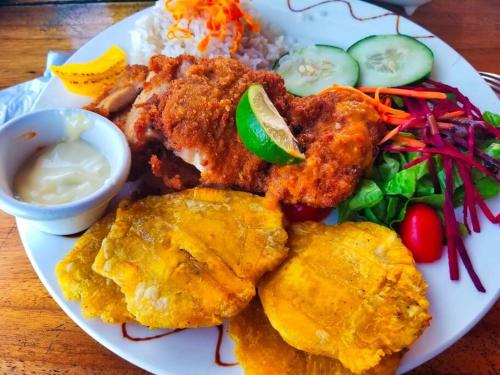 博卡斯德尔托罗Poetry Garden Bocas Town Colon Island- Deluxe Bungalow Cabin-AC-Enjoy the Night Life的一块食物,有鸡肉,米饭和蔬菜