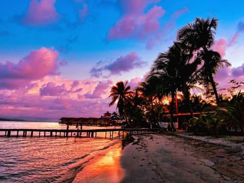 博卡斯德尔托罗Poetry Garden Bocas Town Colon Island- Deluxe Bungalow Cabin-AC-Enjoy the Night Life的棕榈树和码头海滩上的日落