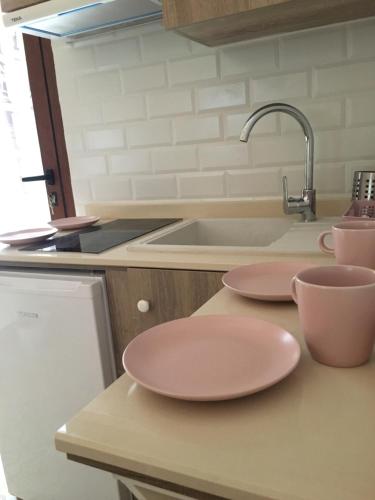 坎波德克里普塔纳Casa Rural Abuelo Teo的厨房的柜台上有两个粉红色的盘子