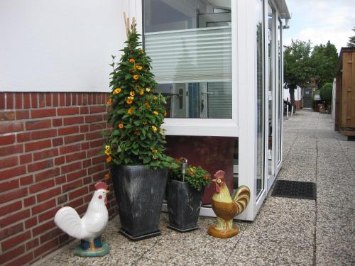 库克斯港Gästehaus Bremer的窗户前有两株盆栽植物和鸡的房屋