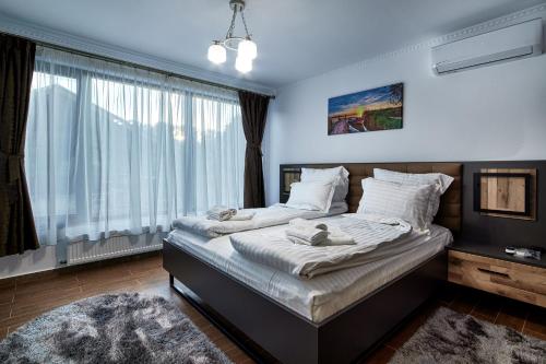 Chilia VecheCasa Chilia Resort&Spa的一间卧室设有一张床和一个大窗户
