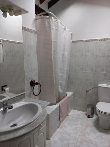 波特斯La casuca del sol的一间带水槽、卫生间和淋浴的浴室