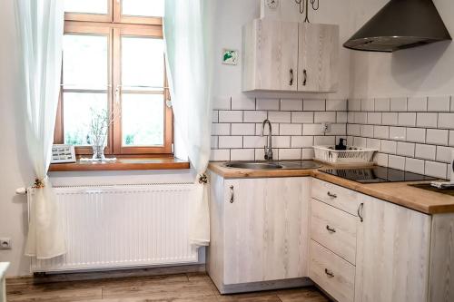 卡西纳维耶卡Apartamenty Stacja Kasina的厨房配有白色橱柜、水槽和窗户。