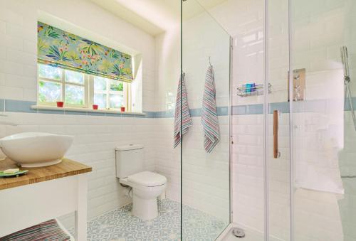 吉林汉姆La Rose的一间带卫生间和玻璃淋浴间的浴室