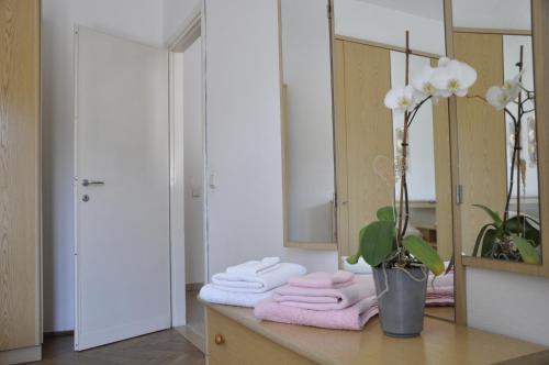 加尔达湖滨Appartamento Alba的浴室提供粉红色的毛巾和镜子