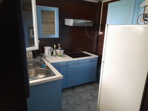 MatouryCharmant Lodge tout confort的一间带水槽和冰箱的小厨房