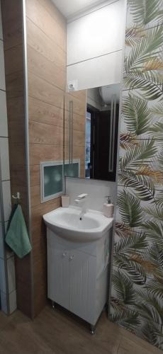 斯利文Velvita Central的浴室设有白色水槽和镜子