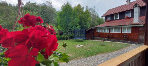 锡比乌La cabana bunicului的一座房子,前面有一座红色花