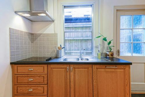 温彻斯特Boscobel Apartments Down的厨房设有水槽和窗户。