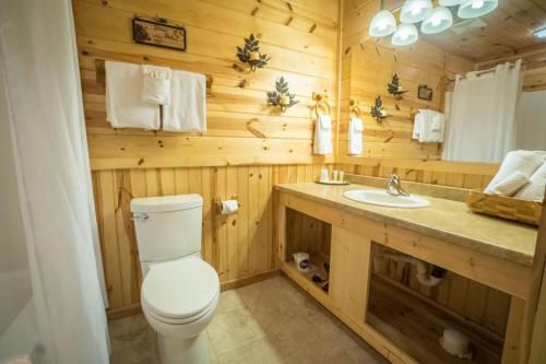 ClarkesvilleNacoochee valley motel的木制浴室设有卫生间和水槽