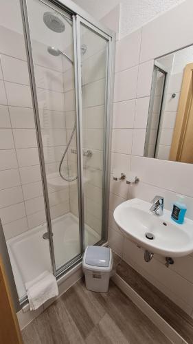 BienenbüttelHaus Mila的带淋浴、盥洗盆和卫生间的浴室