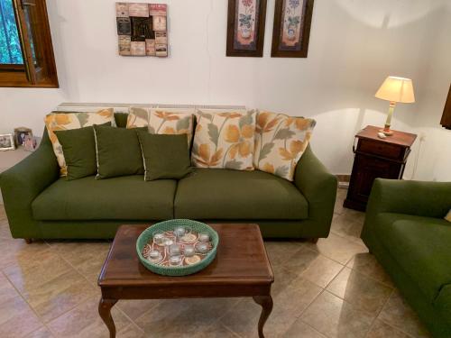 乐托卡亚ZeusPlace Olympus Olive Country House 1的客厅配有绿色沙发和桌子