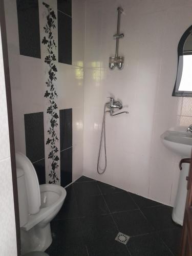 博尔若米Guesthouse Borjomi的一间带卫生间和水槽的浴室